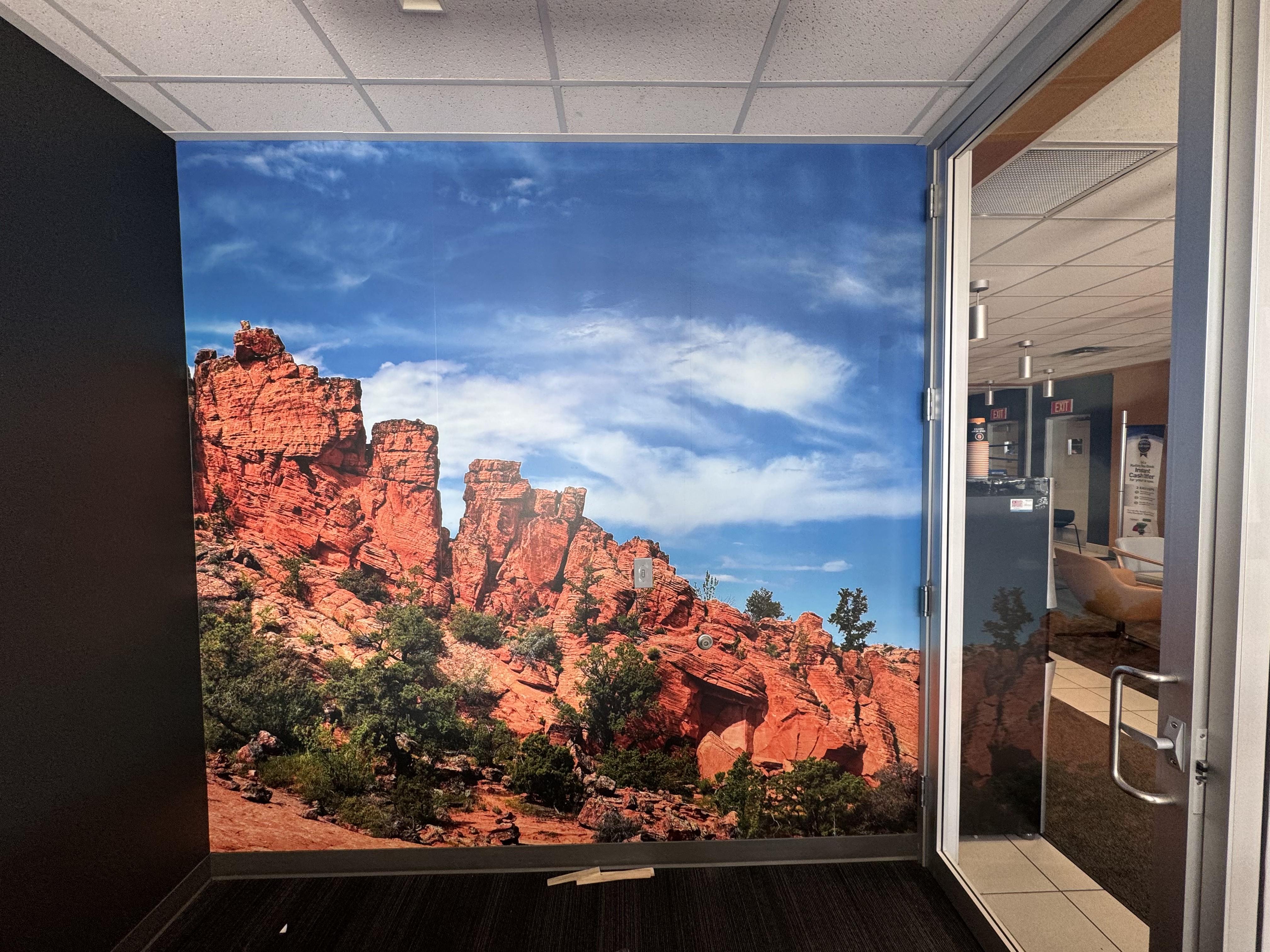 Wall graphic - Canyon