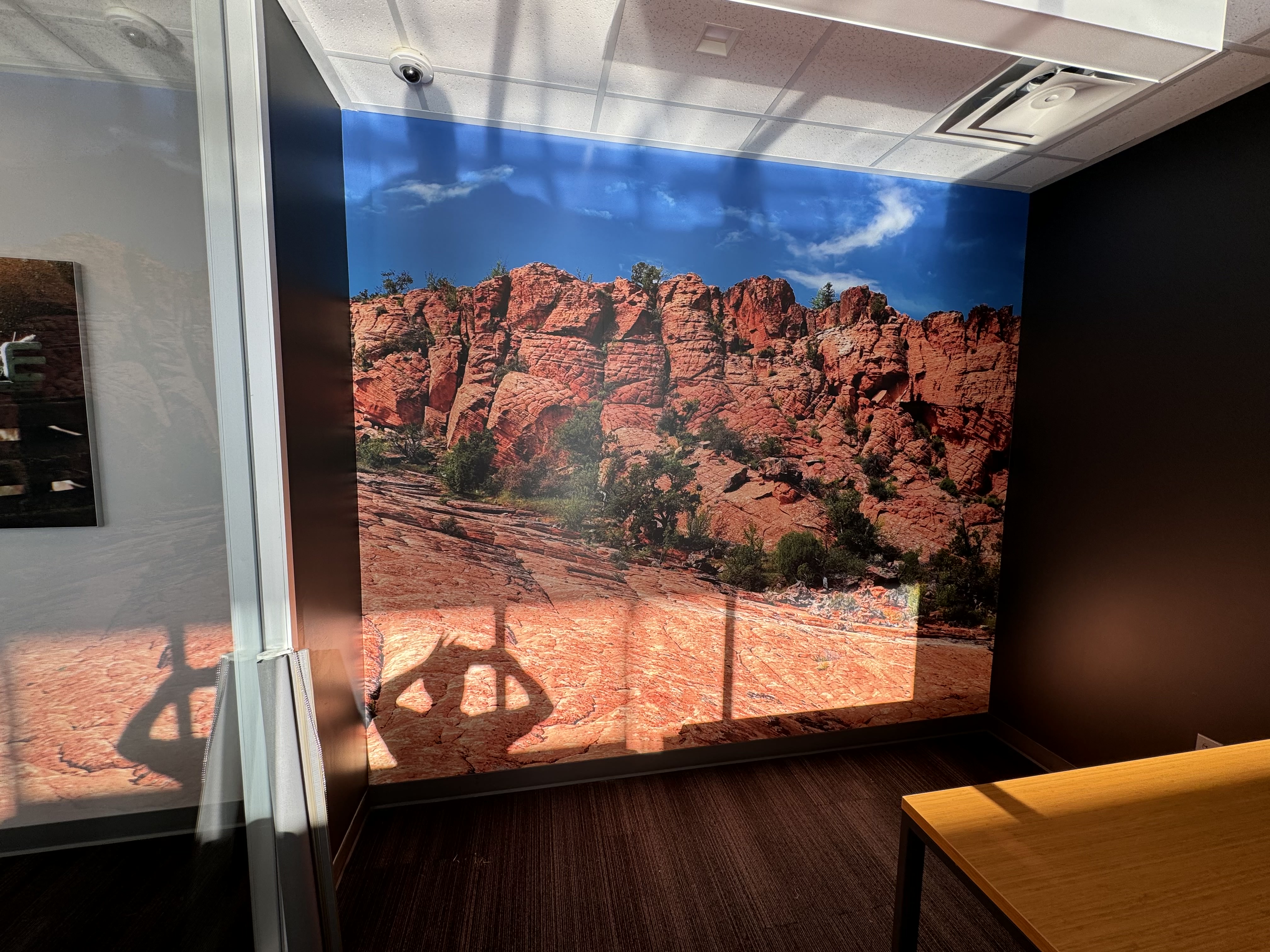 Wall graphic - Canyon 2